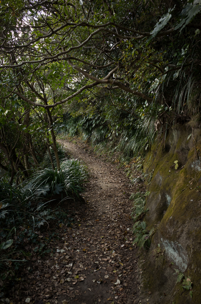 f:id:aremo-koremo:20160127153159j:plain