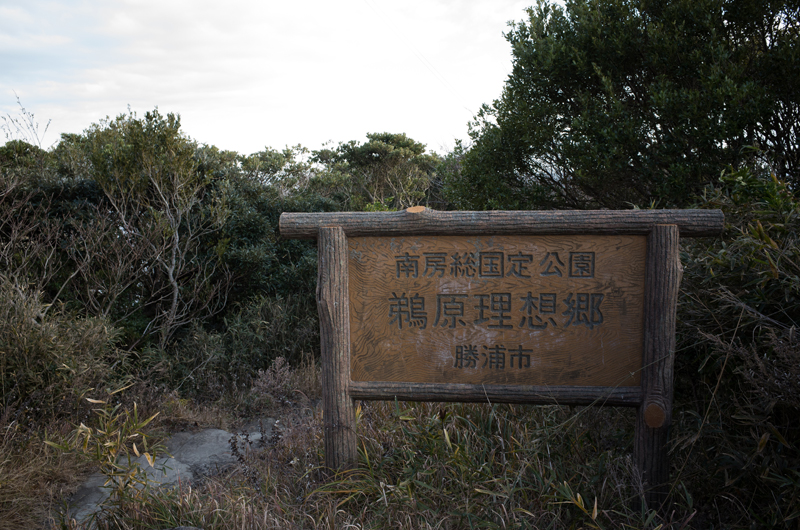 f:id:aremo-koremo:20160127153455j:plain