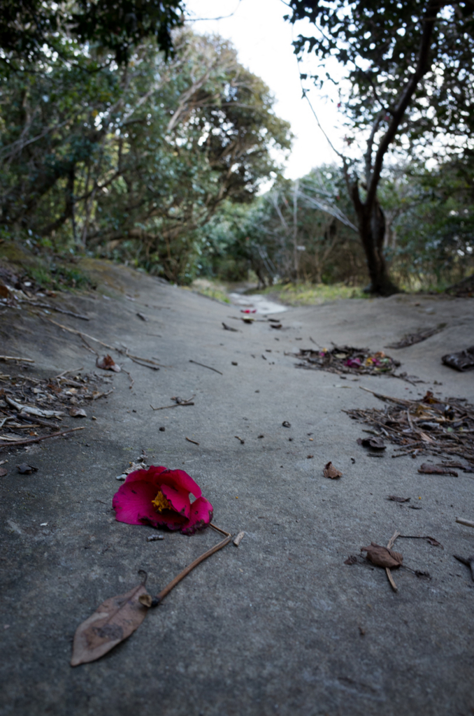 f:id:aremo-koremo:20160127153611j:plain