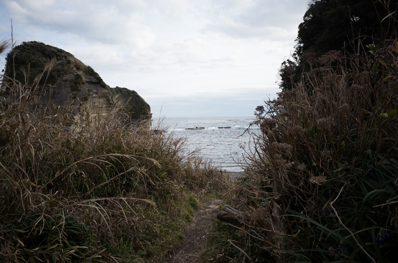 f:id:aremo-koremo:20160127154050j:plain