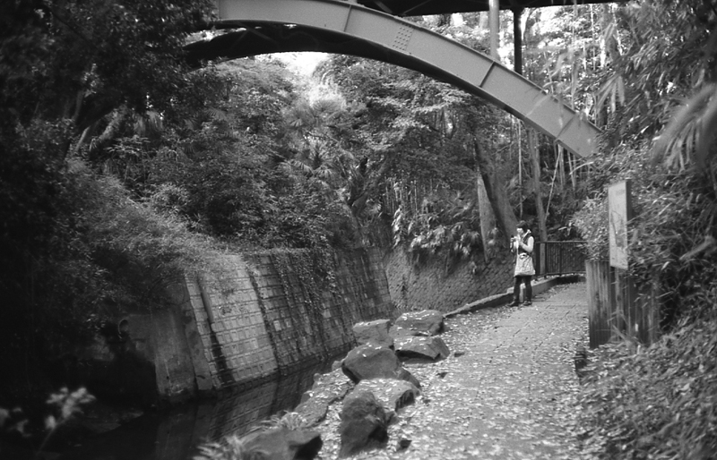 f:id:aremo-koremo:20160228151348j:plain f:id:aremo-koremo:20160228151348j:plain