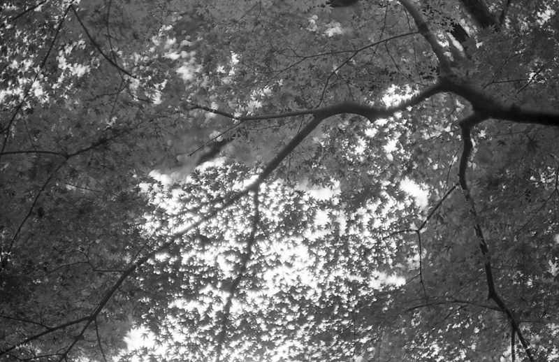 f:id:aremo-koremo:20160228151425j:plain f:id:aremo-koremo:20160228151425j:plain