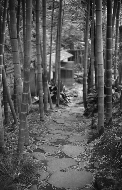 f:id:aremo-koremo:20160228151541j:plain f:id:aremo-koremo:20160228151541j:plain