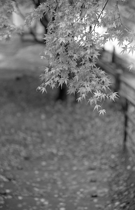 f:id:aremo-koremo:20160228151911j:plain f:id:aremo-koremo:20160228151911j:plain