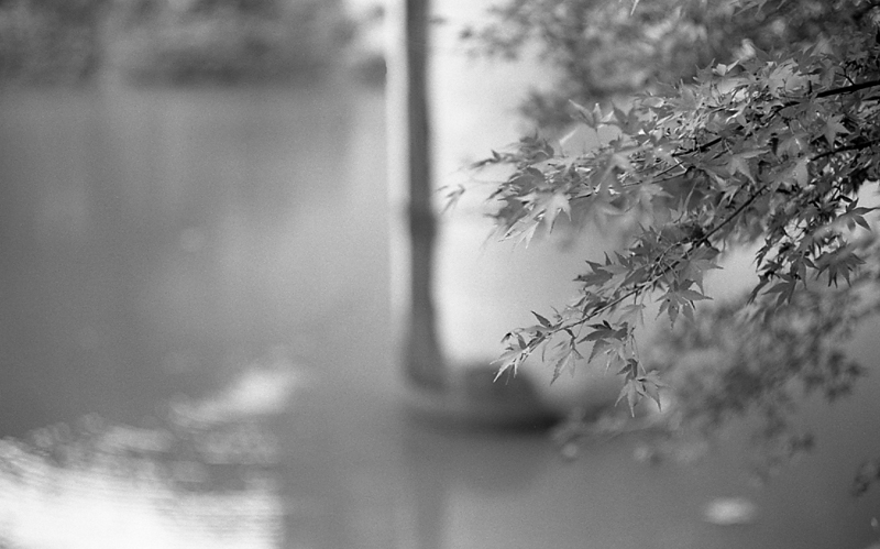 f:id:aremo-koremo:20160228151956j:plain f:id:aremo-koremo:20160228151956j:plain