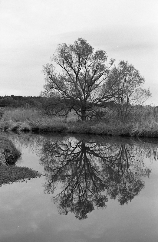 f:id:aremo-koremo:20160328210628j:plain