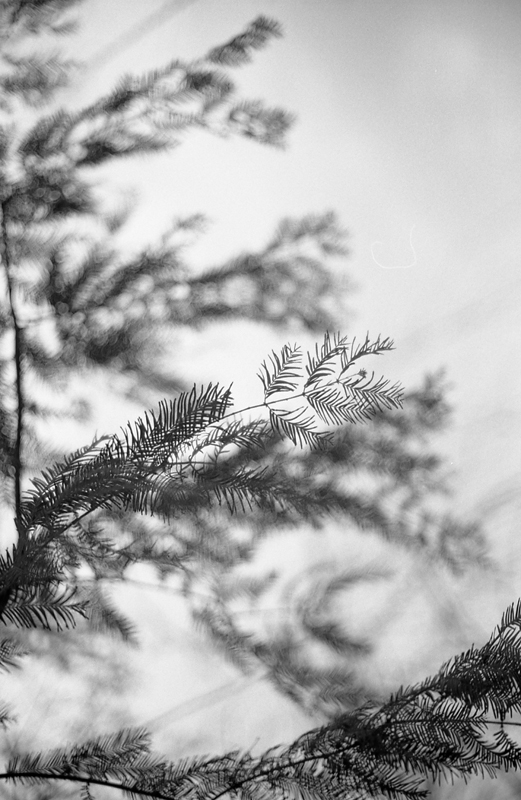 f:id:aremo-koremo:20160328215439j:plain