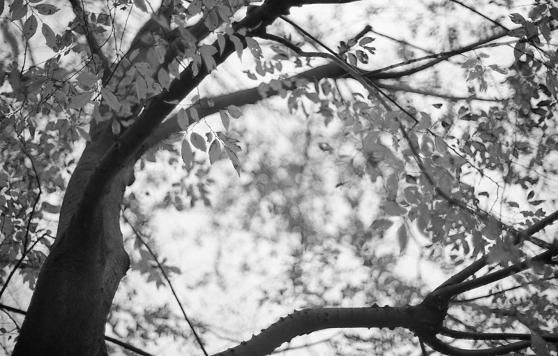 f:id:aremo-koremo:20160328215625j:plain