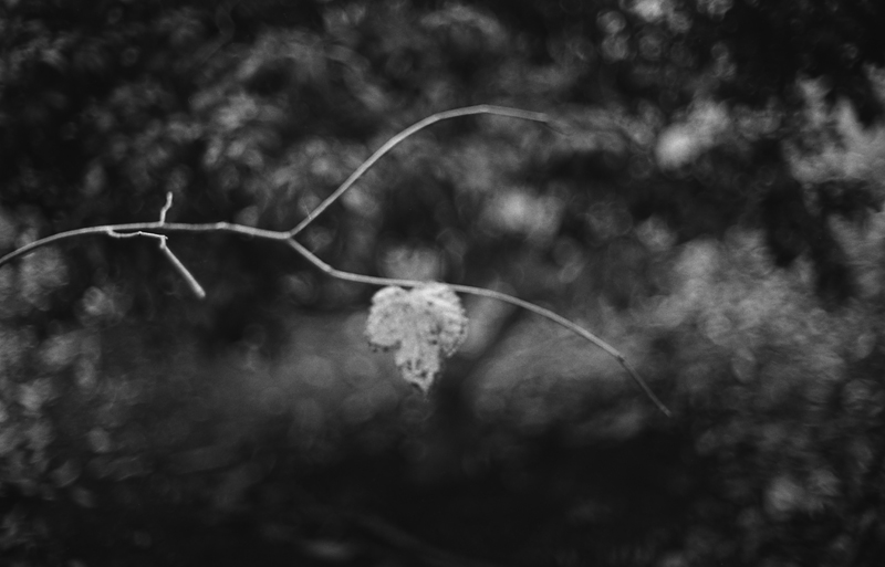 f:id:aremo-koremo:20160328215648j:plain