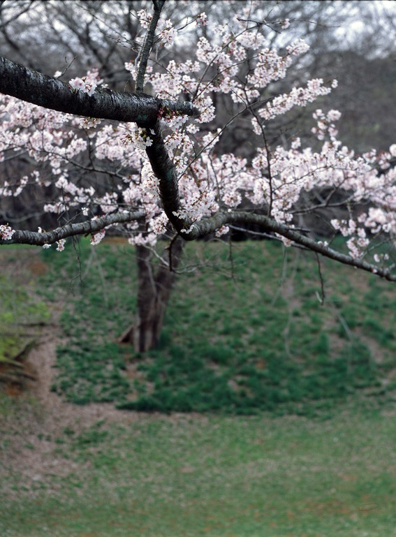 f:id:aremo-koremo:20160408171204j:plain