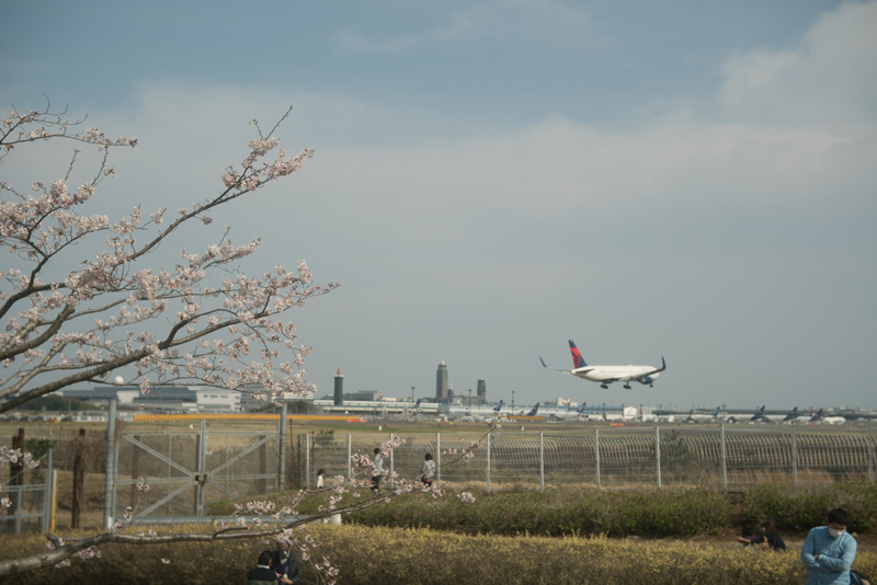 f:id:aremo-koremo:20160411161851j:plain