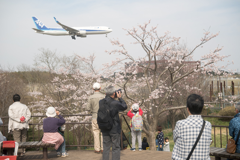 f:id:aremo-koremo:20160411161930j:plain