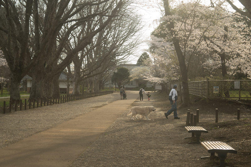 f:id:aremo-koremo:20160411163028j:plain