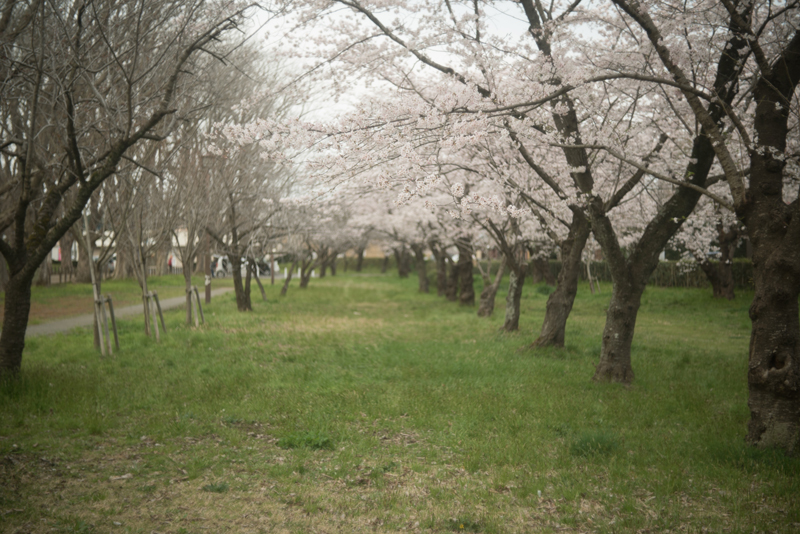 f:id:aremo-koremo:20160411165845j:plain