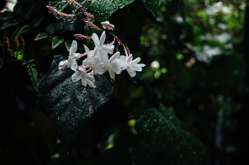 f:id:aremo-koremo:20160505011645j:plain