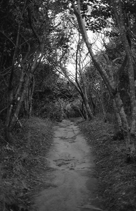 f:id:aremo-koremo:20160508155924j:plain f:id:aremo-koremo:20160508155924j:plain