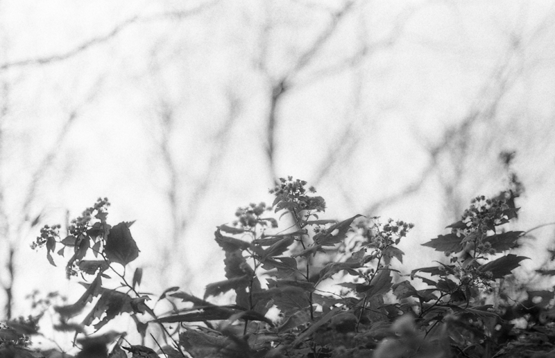 f:id:aremo-koremo:20160508155949j:plain f:id:aremo-koremo:20160508155949j:plain