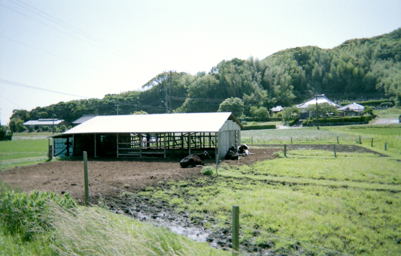 f:id:aremo-koremo:20160607175401j:plain f:id:aremo-koremo:20160607175401j:plain