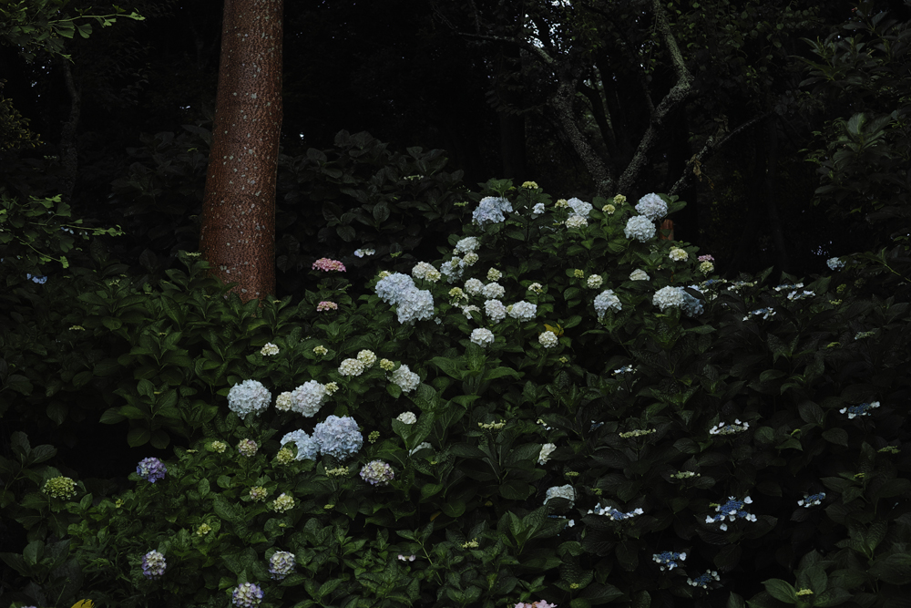 f:id:aremo-koremo:20160613141638j:plain