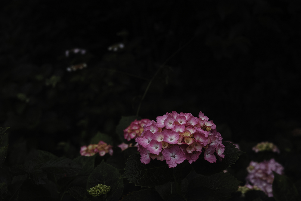 f:id:aremo-koremo:20160613141734j:plain