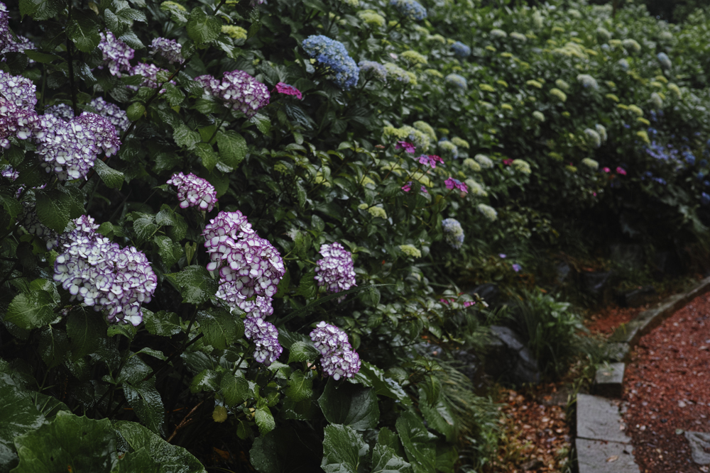 f:id:aremo-koremo:20160613141843j:plain