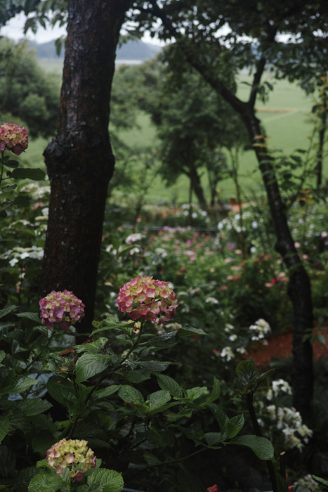 f:id:aremo-koremo:20160613141945j:plain