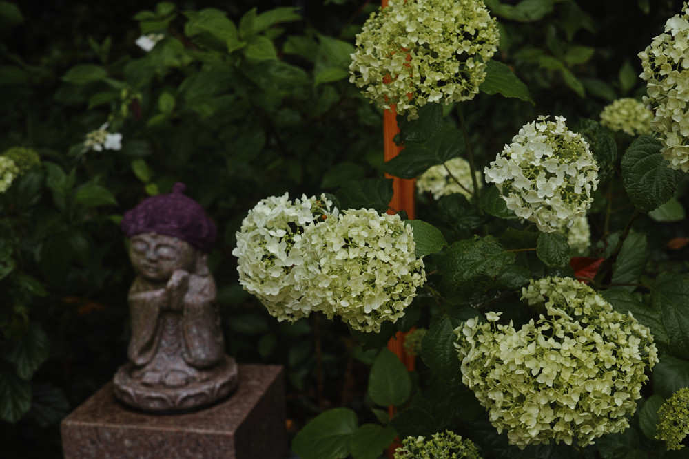 f:id:aremo-koremo:20160613142041j:plain