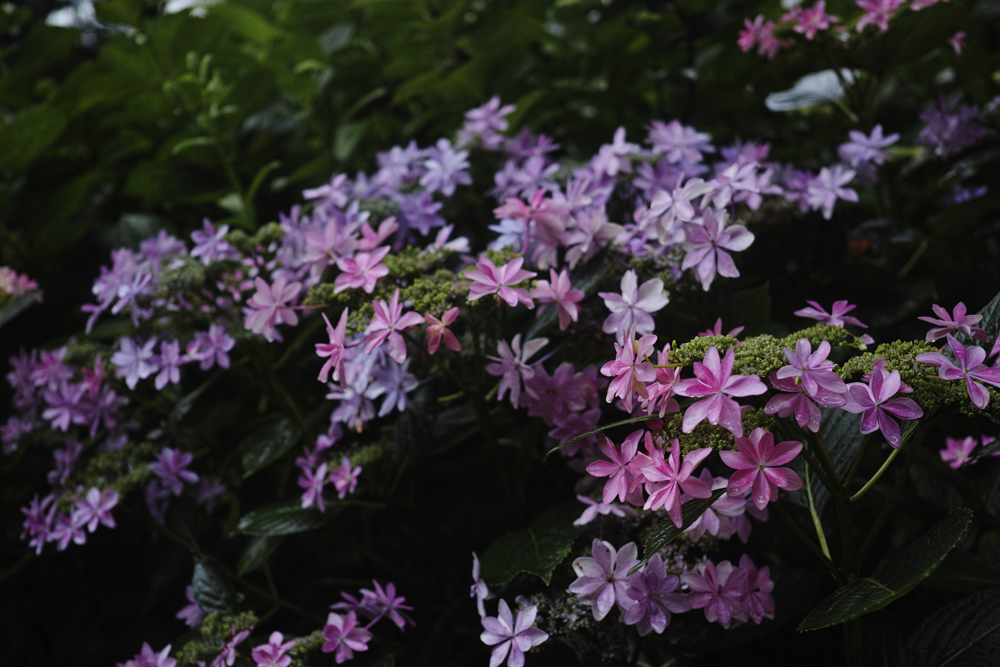 f:id:aremo-koremo:20160613142054j:plain