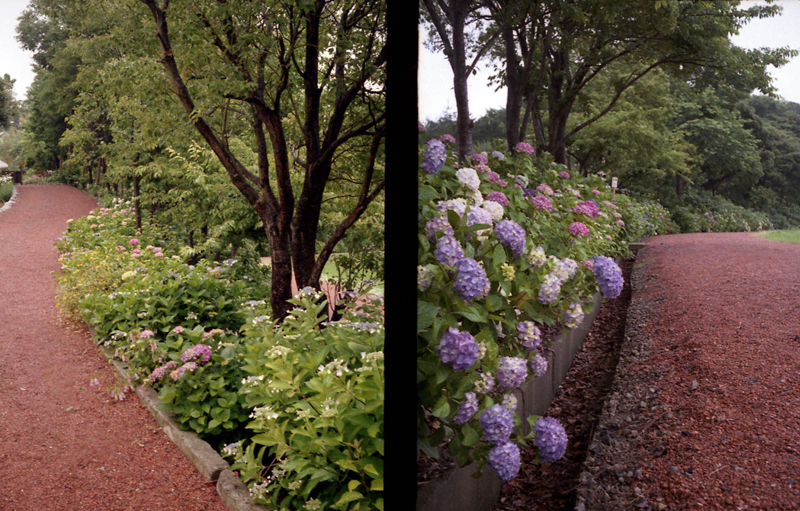 f:id:aremo-koremo:20160613144039j:plain