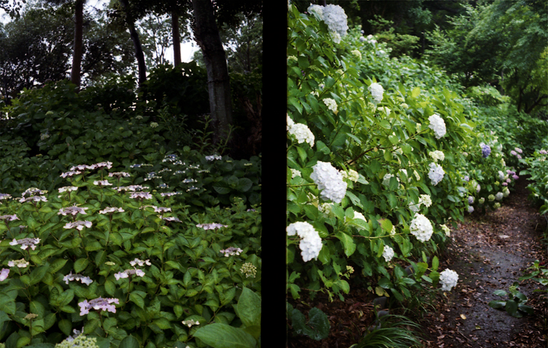 f:id:aremo-koremo:20160613145154j:plain