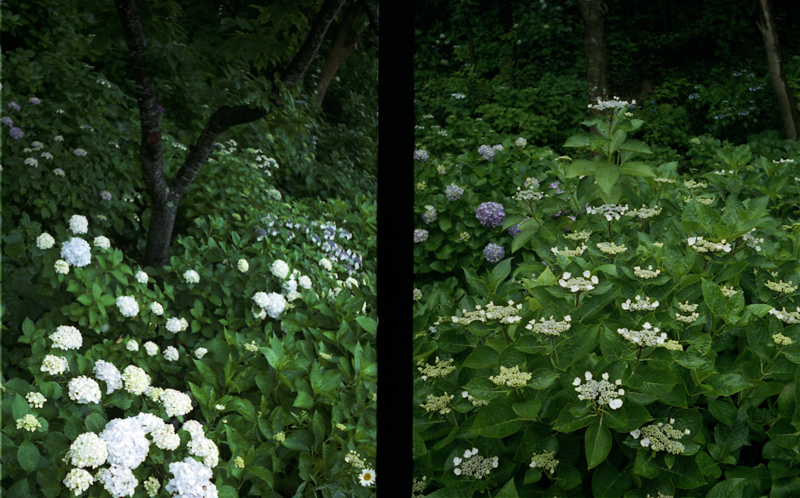 f:id:aremo-koremo:20160613145313j:plain