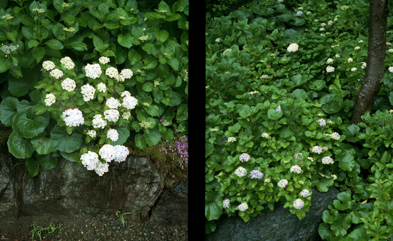 f:id:aremo-koremo:20160613145343j:plain