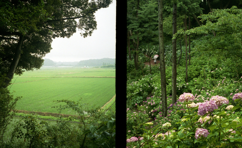 f:id:aremo-koremo:20160613145425j:plain