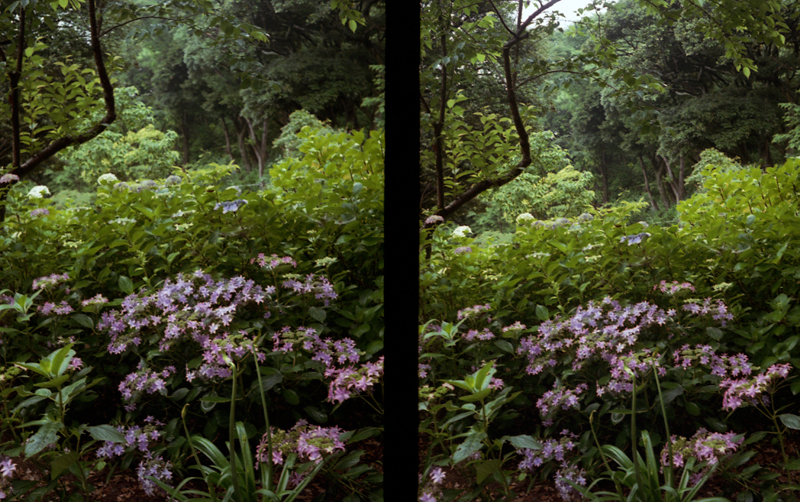 f:id:aremo-koremo:20160613145620j:plain