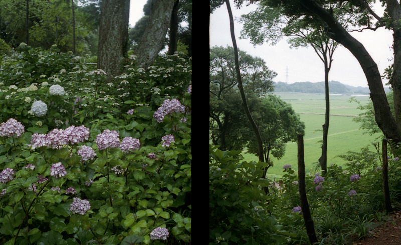 f:id:aremo-koremo:20160613145715j:plain