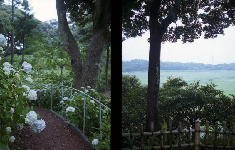 f:id:aremo-koremo:20160613145800j:plain