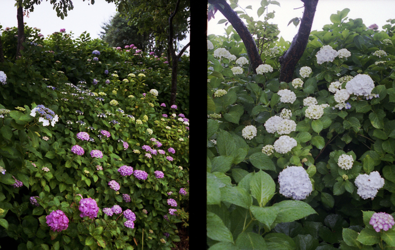 f:id:aremo-koremo:20160613150042j:plain