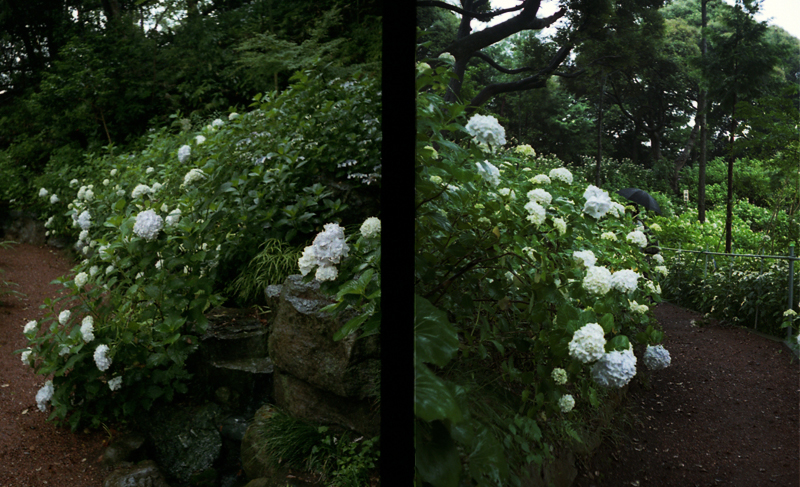 f:id:aremo-koremo:20160613153406j:plain