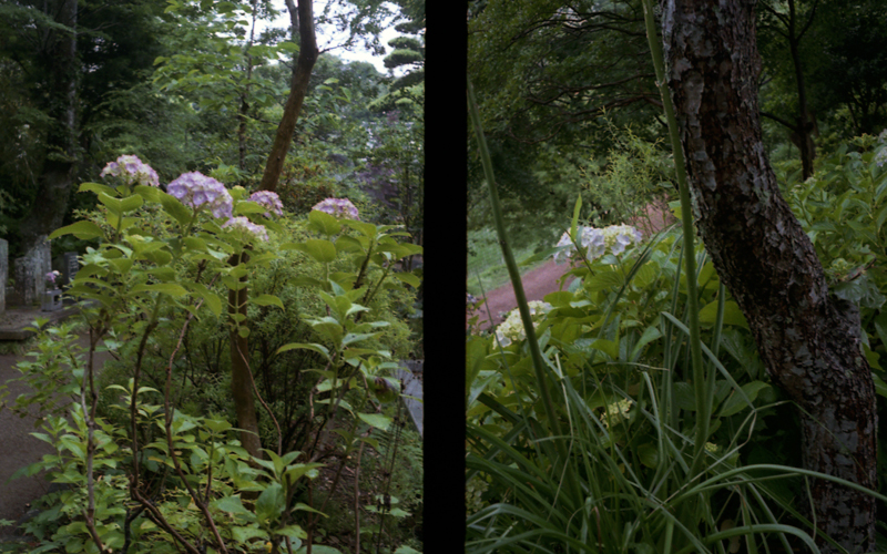 f:id:aremo-koremo:20160613153610j:plain