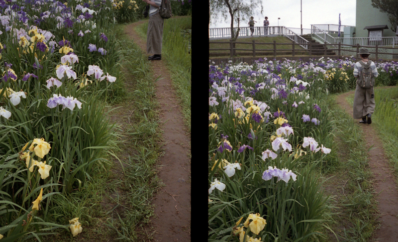 f:id:aremo-koremo:20160613155627j:plain