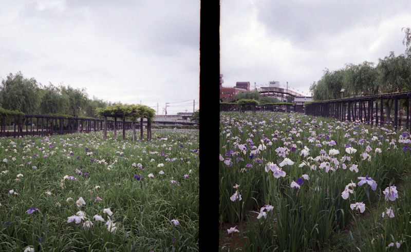 f:id:aremo-koremo:20160613155958j:plain