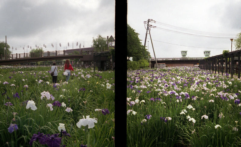 f:id:aremo-koremo:20160613160145j:plain