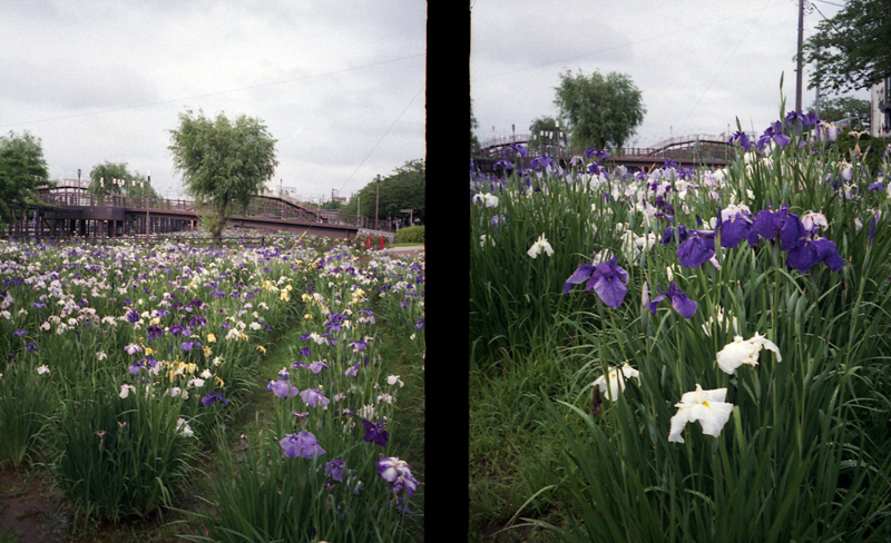 f:id:aremo-koremo:20160613160236j:plain