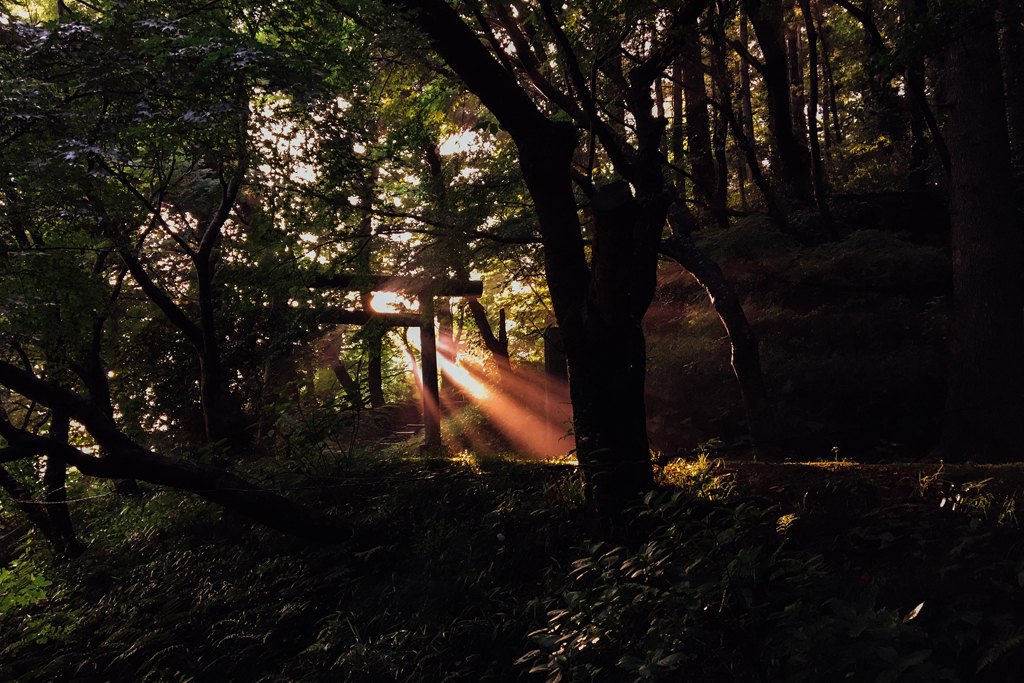 f:id:aremo-koremo:20160613163809j:plain