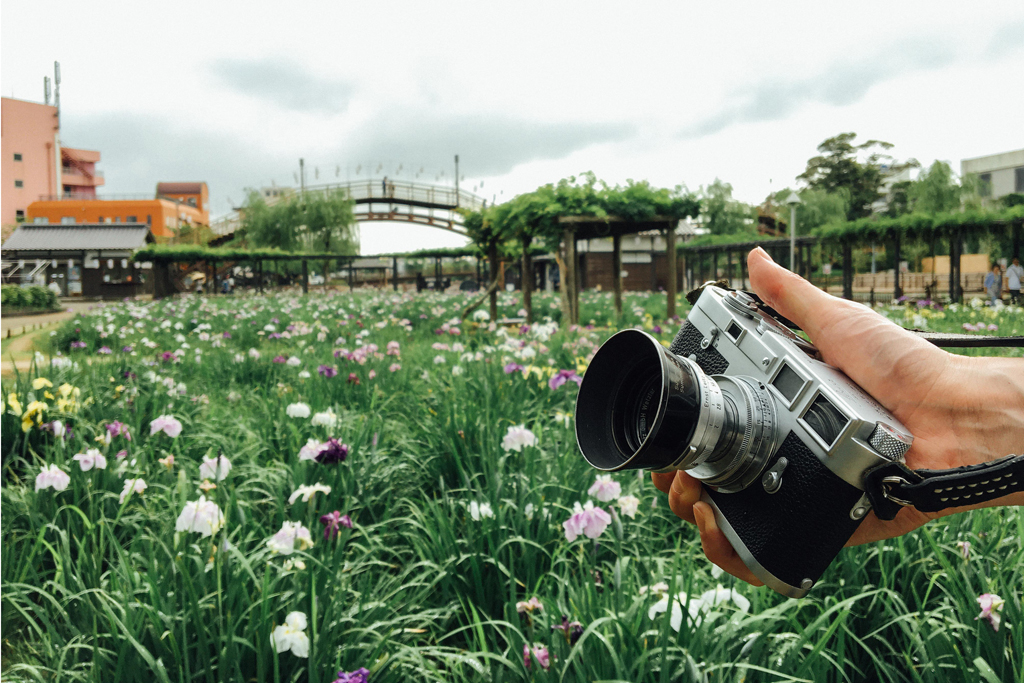 f:id:aremo-koremo:20160613164208j:plain