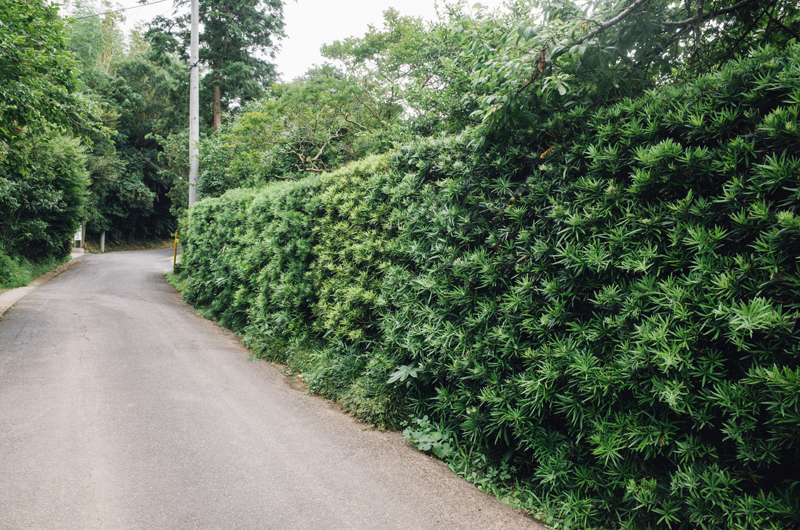 f:id:aremo-koremo:20160705014622j:plain