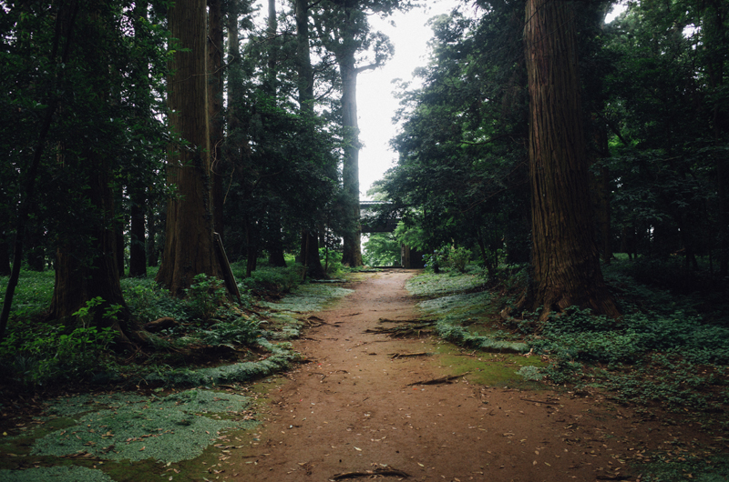 f:id:aremo-koremo:20160705015319j:plain