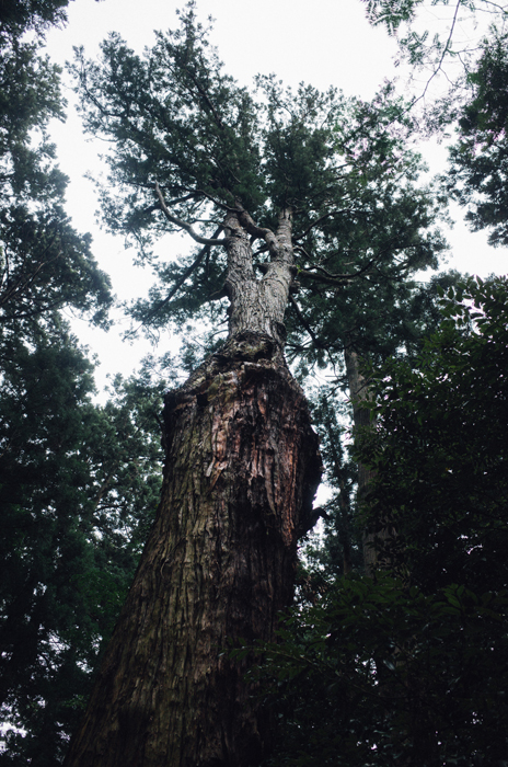 f:id:aremo-koremo:20160705015429j:plain