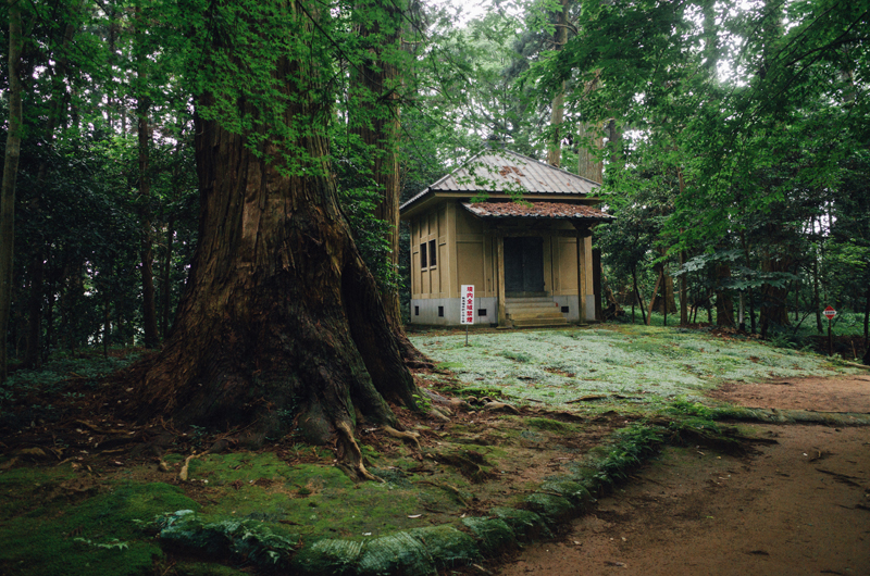 f:id:aremo-koremo:20160705015506j:plain