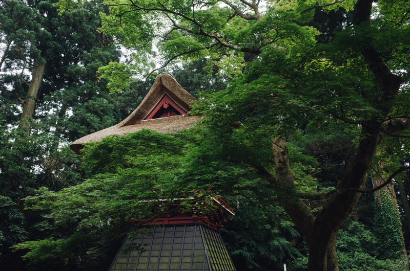 f:id:aremo-koremo:20160706194109j:plain